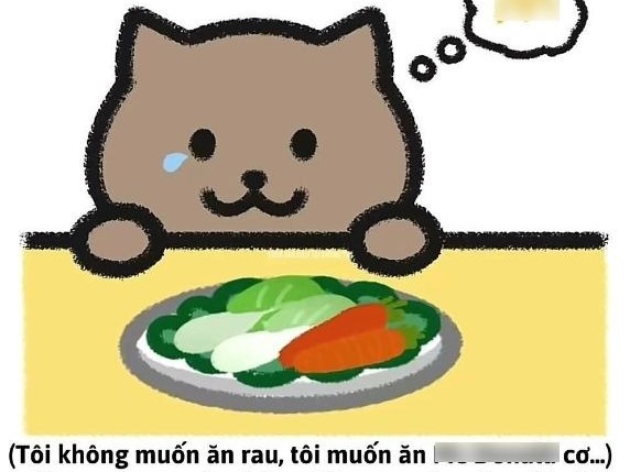 Ảnh bìa bài viết 934987