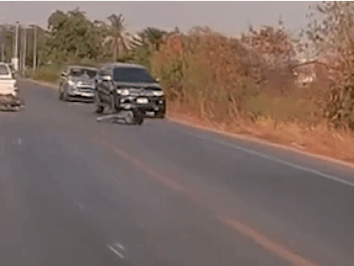 Ảnh bìa bài viết 935788