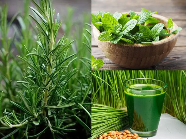 Ảnh bìa bài viết 936056