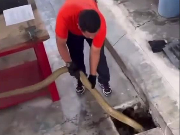 Ảnh bìa bài viết 936437