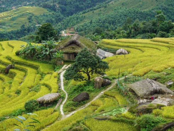 Ảnh bìa bài viết 938168