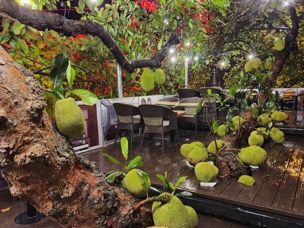 Ảnh bìa bài viết 939142