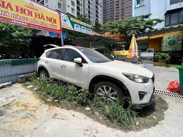 Ảnh bìa bài viết 939610