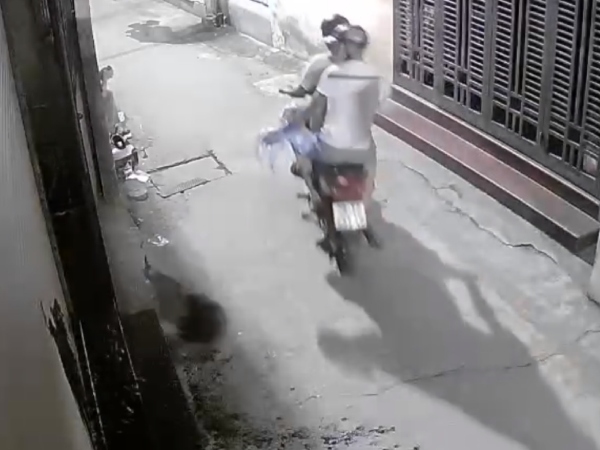 Ảnh bìa bài viết 941485