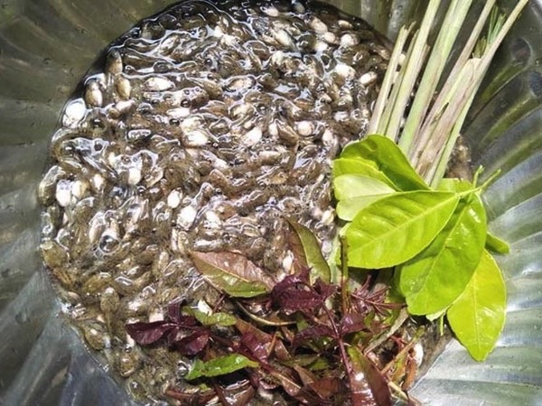 Ảnh bìa bài viết 941628