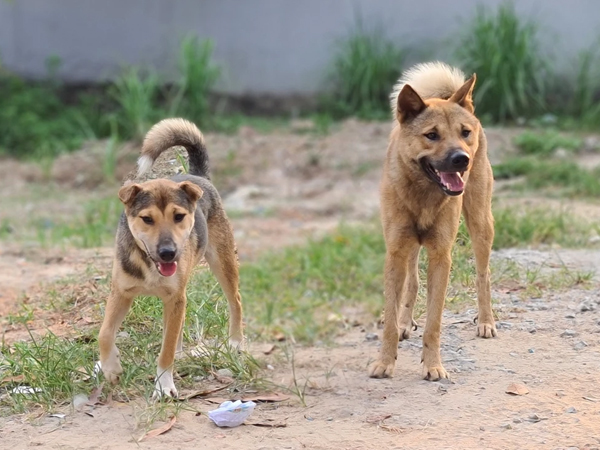 Ảnh bìa bài viết 941829