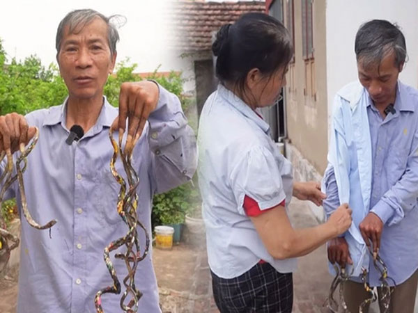 Ảnh bìa bài viết 941849