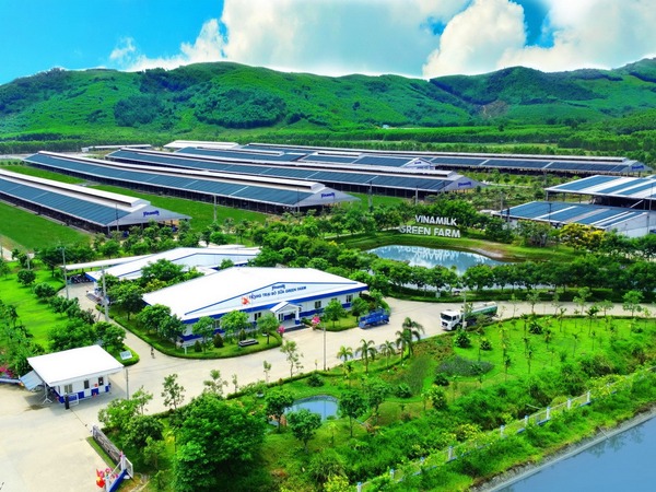Ảnh bìa bài viết 941765