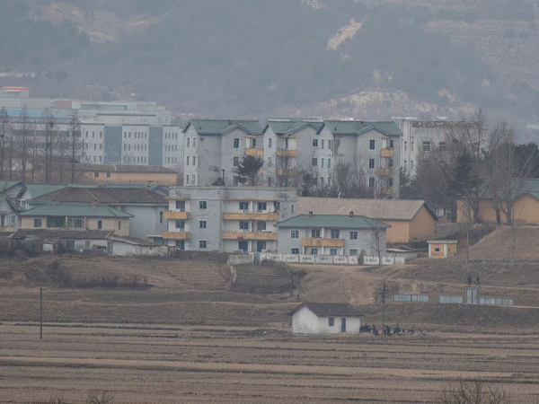 Ảnh bìa bài viết 941933