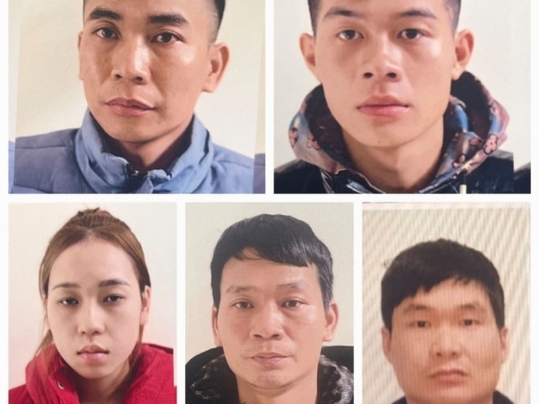 Ảnh bìa bài viết 942129