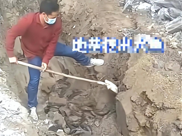 Ảnh bìa bài viết 942657