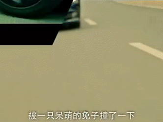 Ảnh bìa bài viết 942781