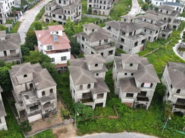 Ảnh bìa bài viết 944983