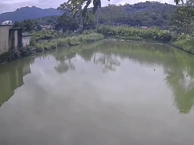 Ảnh bìa bài viết 946094