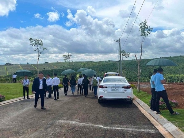 Ảnh bìa bài viết 946192