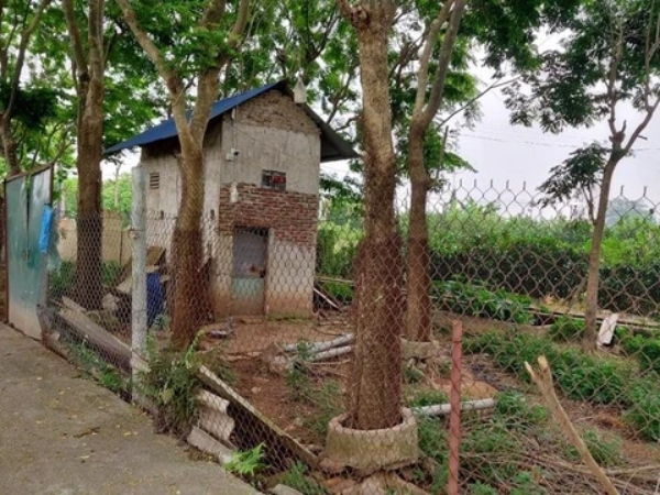 Ảnh bìa bài viết 946988