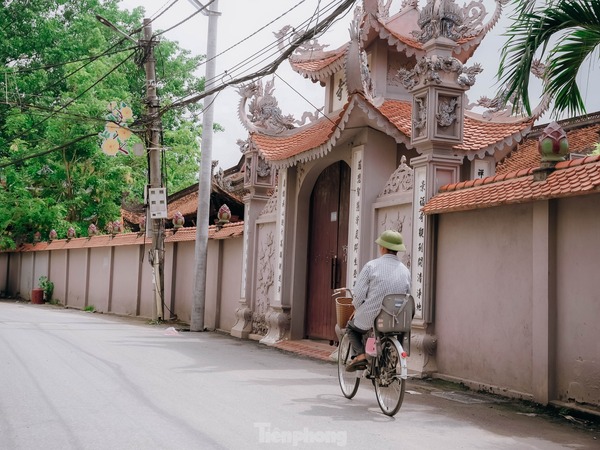 Ảnh bìa bài viết 946917