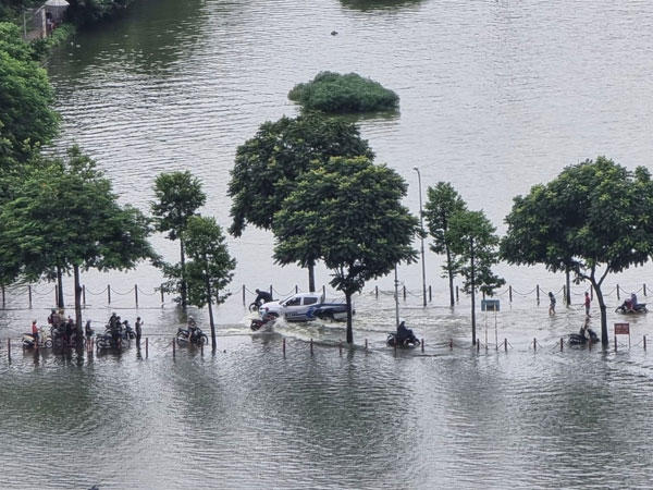 Ảnh bìa bài viết 947461