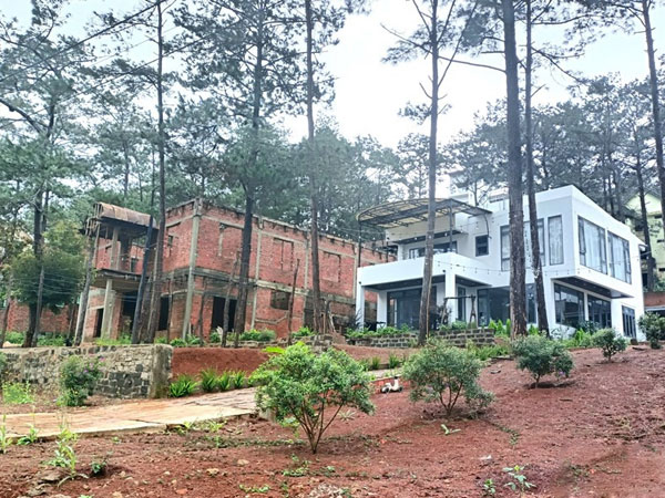 Ảnh bìa bài viết 948090