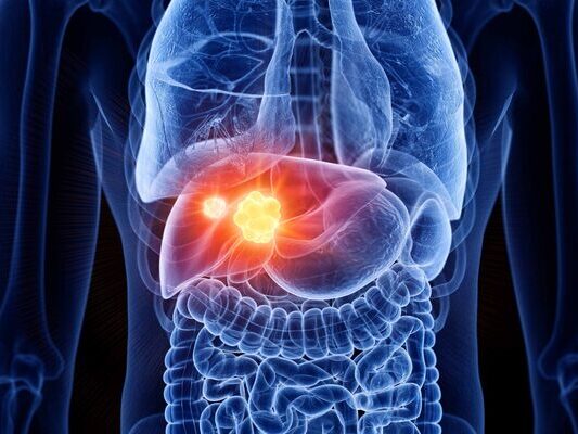 Ảnh bìa bài viết 948858