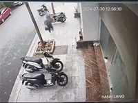 Ảnh bìa bài viết 948935