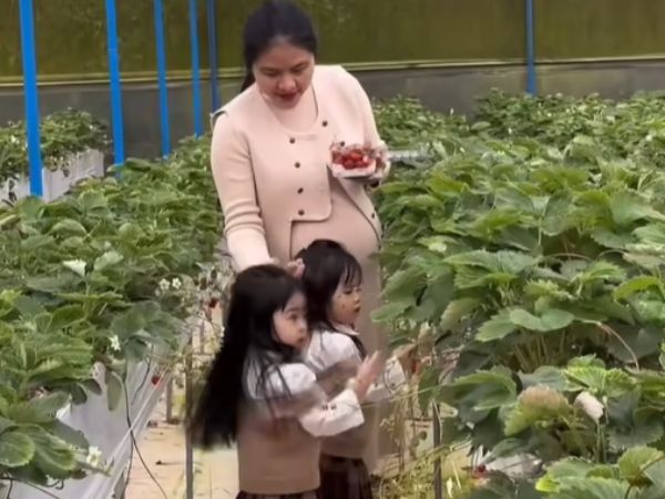 Ảnh bìa bài viết 950660