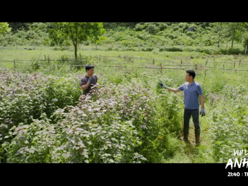 Ảnh bìa bài viết 951366