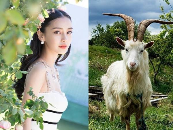 Ảnh bìa bài viết 951712