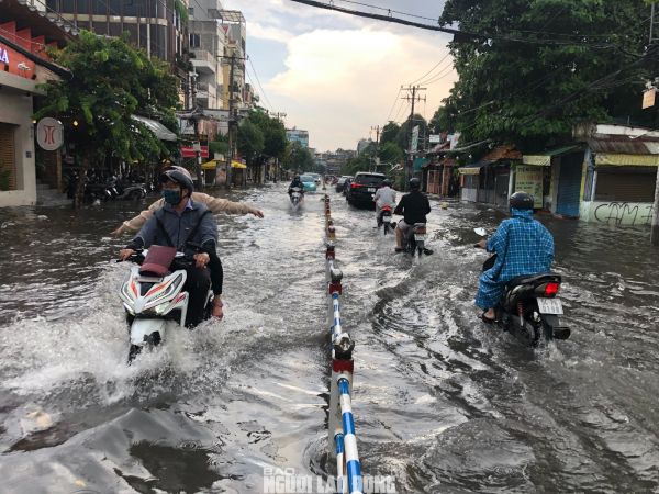 Ảnh bìa bài viết 952199