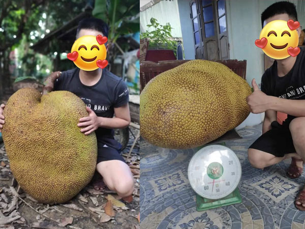 Ảnh bìa bài viết 952305
