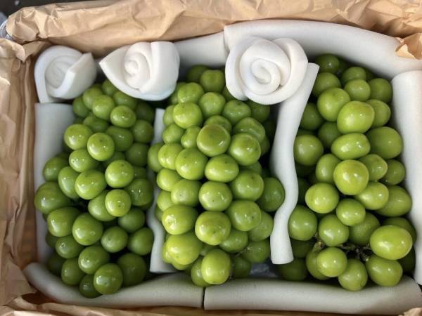 Ảnh bìa bài viết 952919