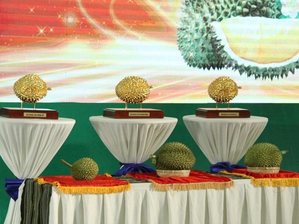 Ảnh bìa bài viết 953430