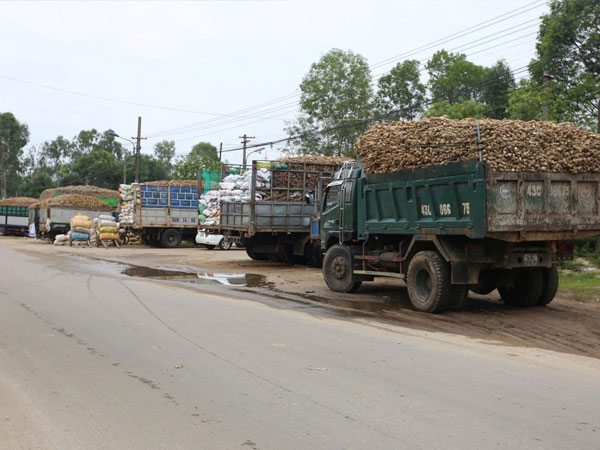 Ảnh bìa bài viết 953851
