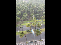 Ảnh bìa bài viết 953940