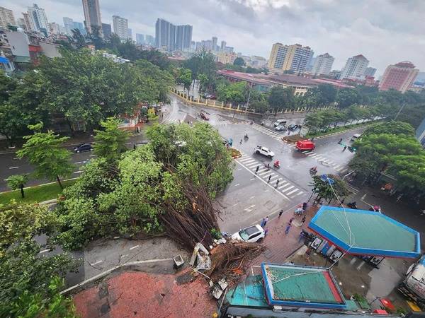 Ảnh bìa bài viết 954061