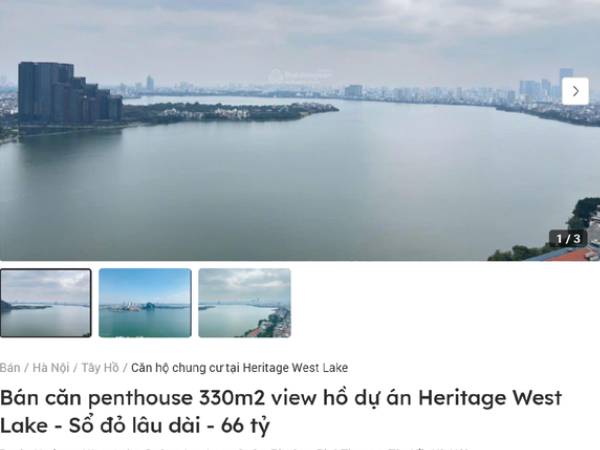 Ảnh bìa bài viết 954175