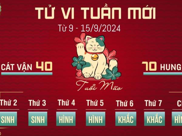 Ảnh bìa bài viết 954223