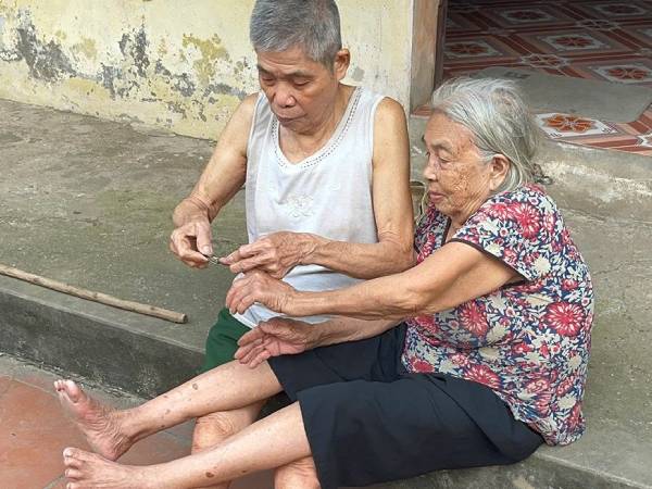 Ảnh bìa bài viết 954462