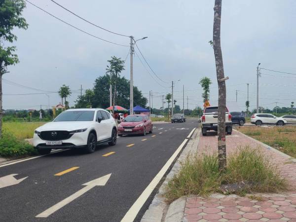 Ảnh bìa bài viết 954613