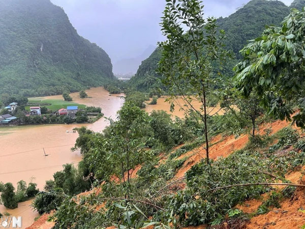 Ảnh bìa bài viết 954642