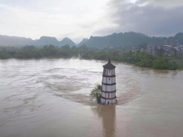 Ảnh bìa bài viết 954805