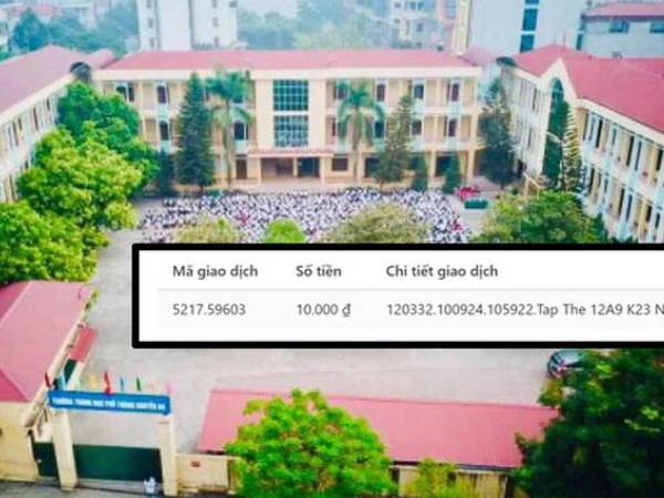Ảnh bìa bài viết 955131