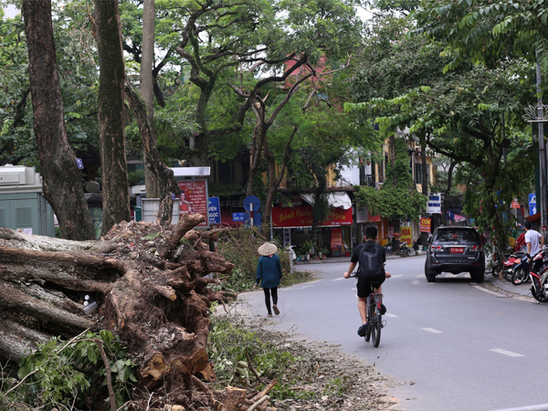 Ảnh bìa bài viết 955109