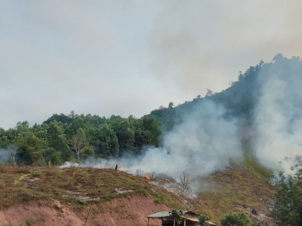 Ảnh bìa bài viết 955242