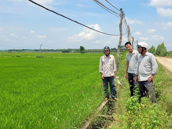 Ảnh bìa bài viết 955347