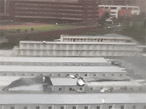 Ảnh bìa bài viết 955378