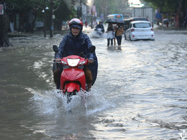 Ảnh bìa bài viết 955470