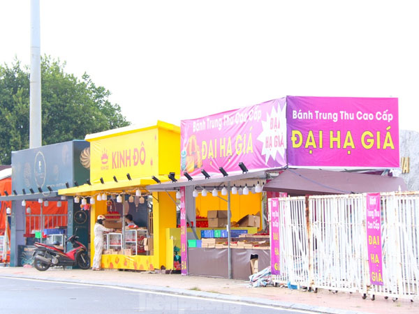 Ảnh bìa bài viết 955769