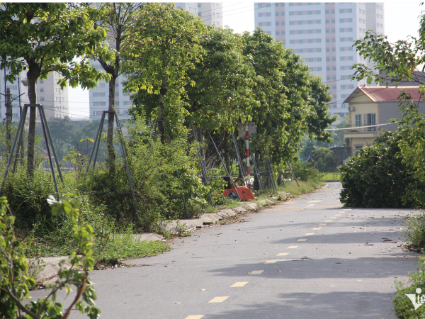 Ảnh bìa bài viết 955815