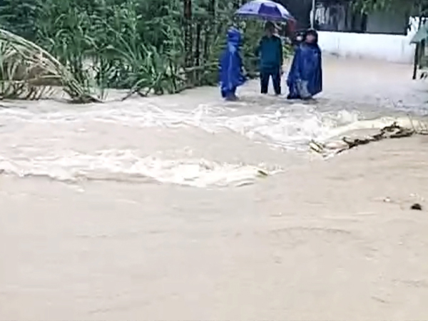 Ảnh bìa bài viết 956097